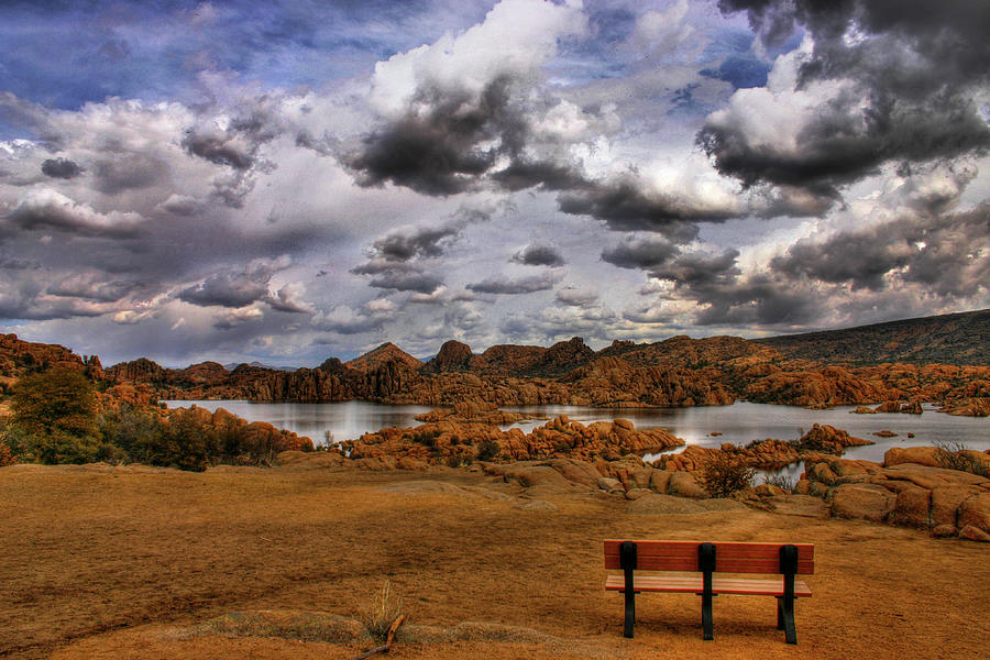 Landscape Photograph - A Seat at the Dance by Wayne King