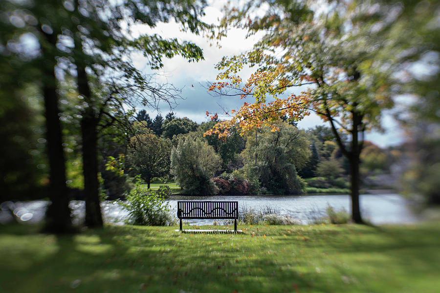 A Seat at the Pond Photograph by Kimberly Mackowski