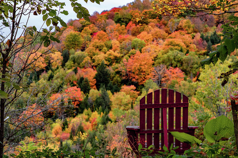 A seat for viewing the Vermont fall colors Photograph by Jeff Folger