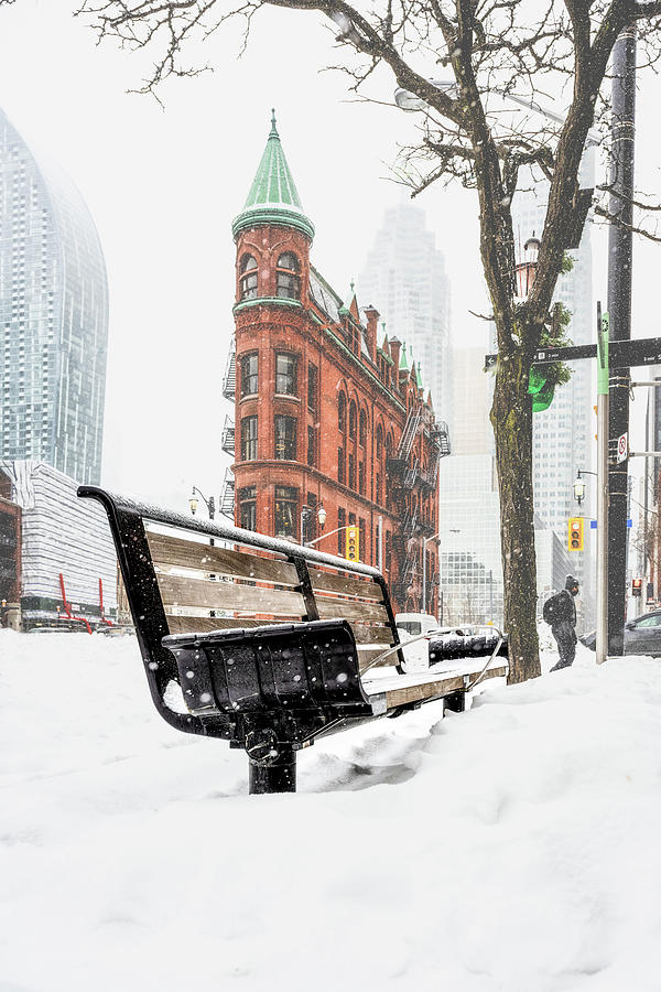 A Seat in the Snow Photograph by Dee Potter