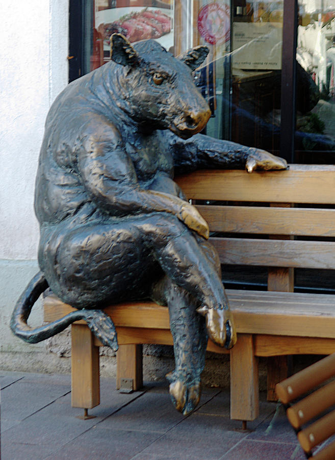 A Seated Sculpture Photograph by John Hughes - Fine Art America