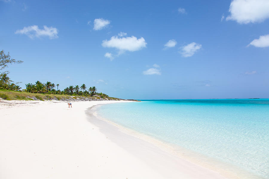 A secluded white sand beach in the Caribbean Photograph by Malorny
