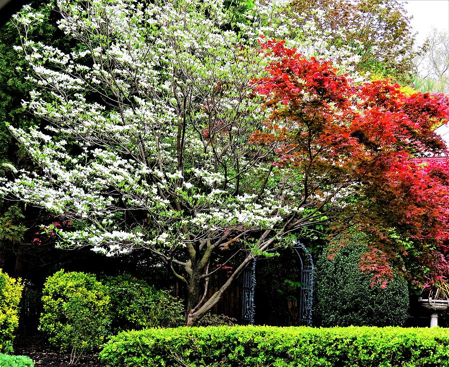 A Secret Garden in Spring Photograph by Linda Stern