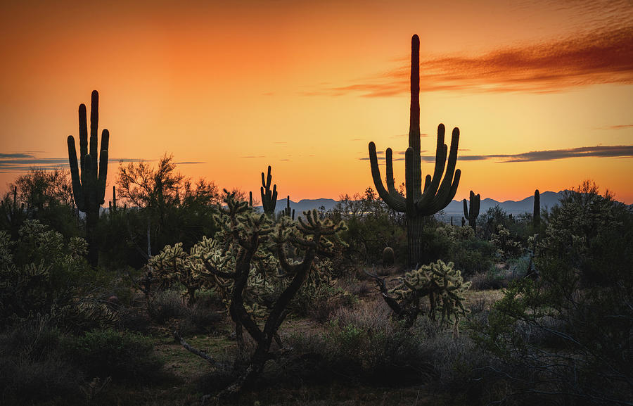 A Serene Desert Sunset Photograph by Saija Lehtonen - Fine Art America