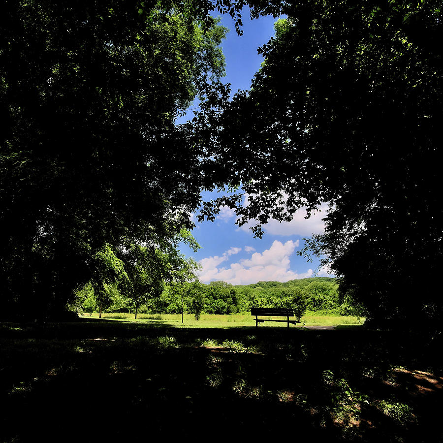 A Shady Resting Spot Photograph by George Taylor