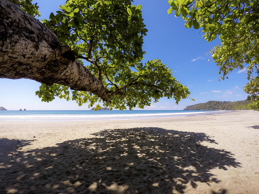 Paradise Photograph - A Shady Spot On A Tropical Beach by Nicklas Gustafsson