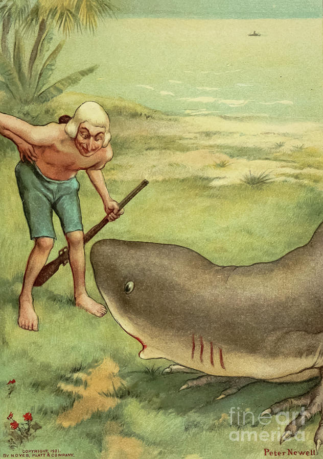 A shark on land d1 Drawing by Historic illustrations - Fine Art America