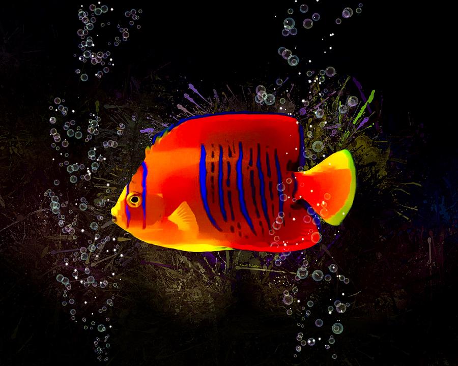 A Shepards Angelfish Digital Art