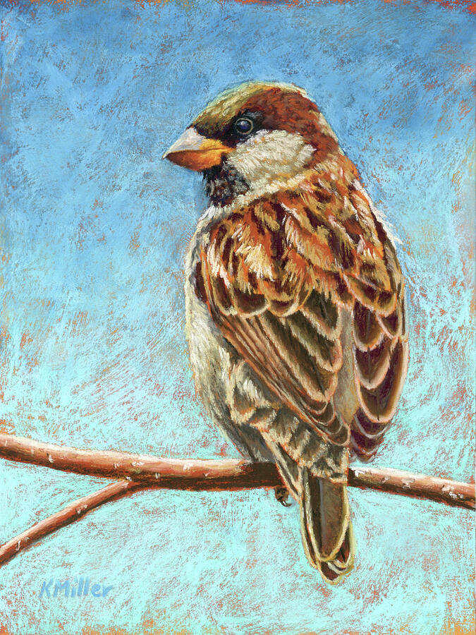 A Short Pause - House Sparrow Pastel by Kathie Miller