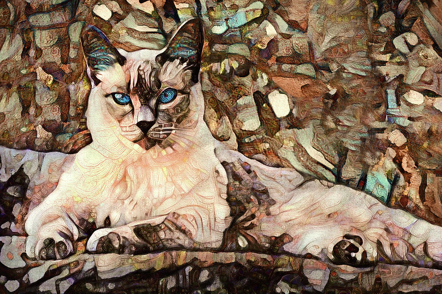A Siamese Cat Named Zoe Digital Art by Peggy Collins