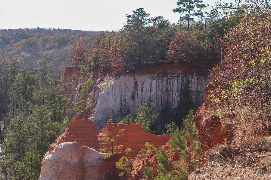 A Side Of Providence Canyon Photograph by Ed Williams