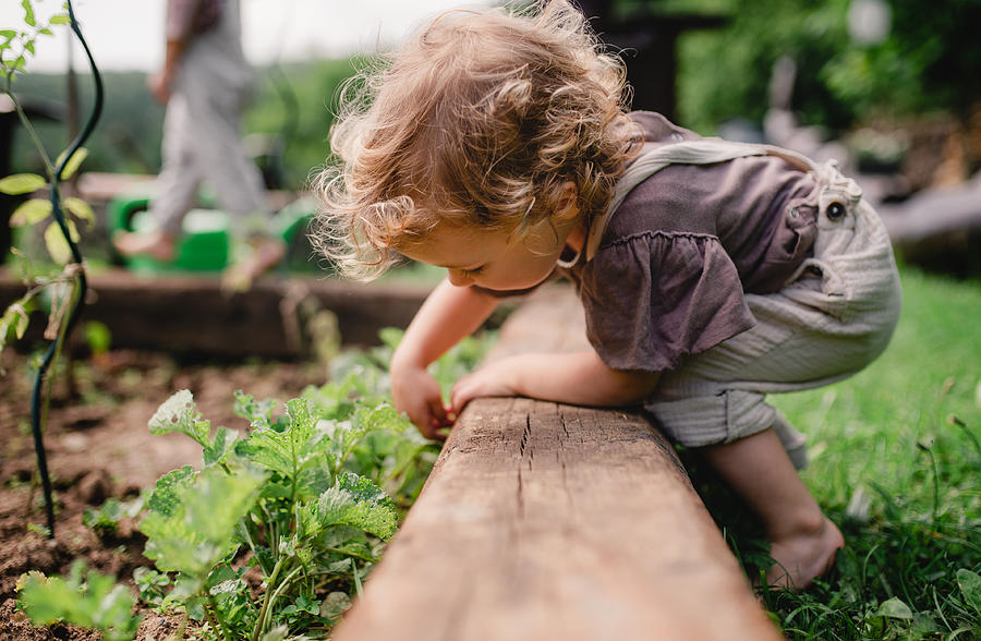 A side view of cute small child outdoors gardening. Photograph by Halfpoint Images