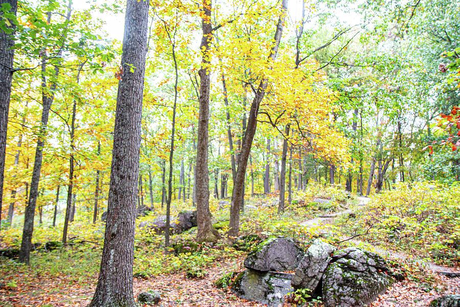 a-side-view-of-little-round-top-20th-maine-position-photograph-by