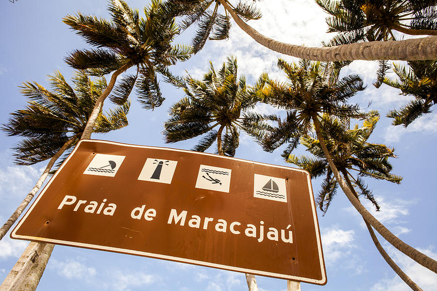 A sign with palm trees at Praia de Maracajau. Photograph by Adam Hester