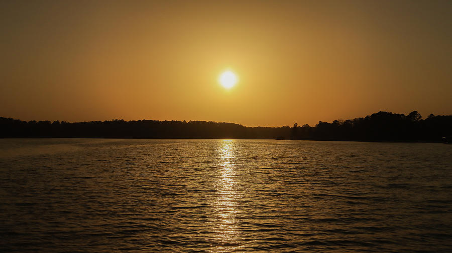 A Simple Golden Sunset Photograph by Ed Williams