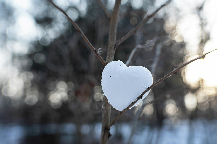 A Simple Snow Heart Photograph by Kimberly Mackowski