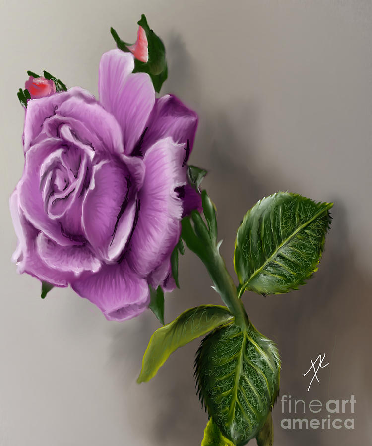 A Single Rose Digital Art by Darren Cannell