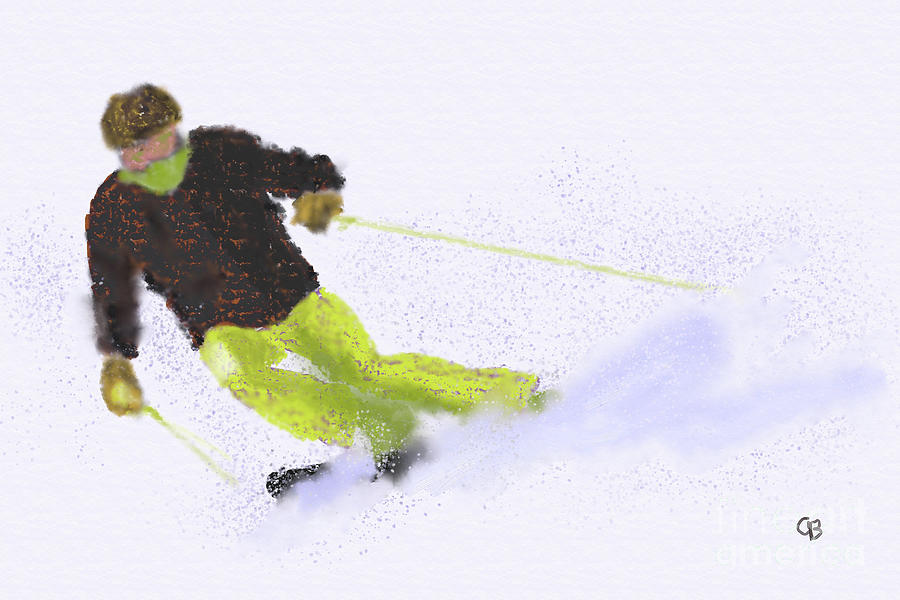 A Skier Photograph by Arlene Babad