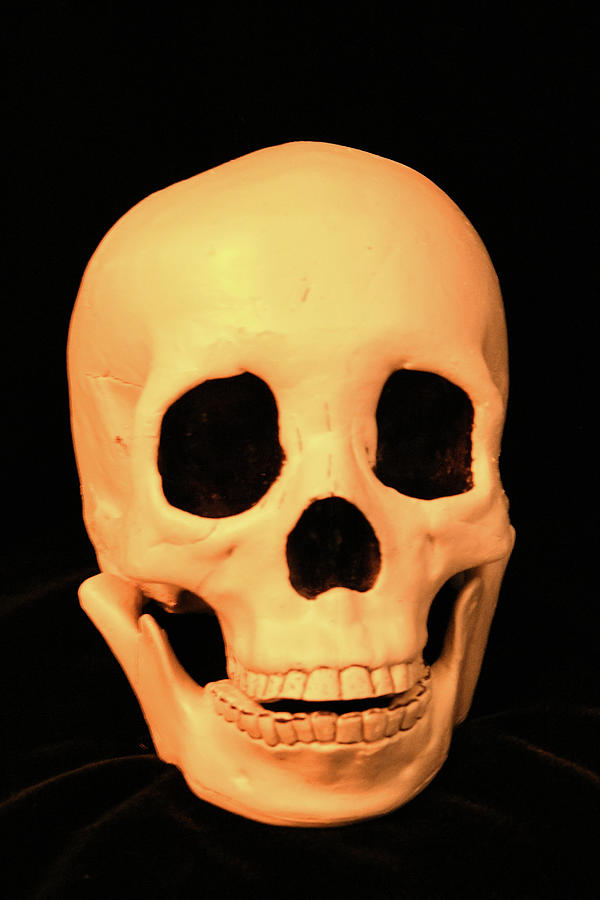 A Skull Photograph