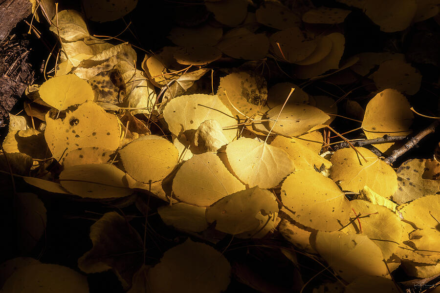 A Sliver of Light Photograph by Rick Furmanek