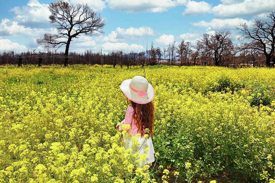 A small girl in a field of spring wildflowers Photograph by Constantinos Iliopoulos