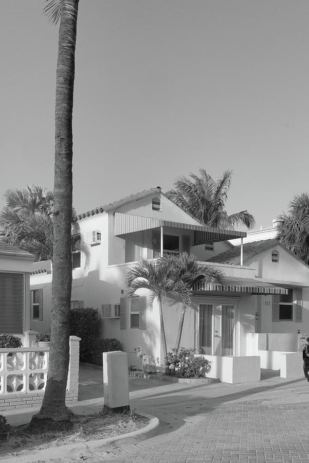 A Small House Surrounded by Palms Photograph by Alan Goldberg