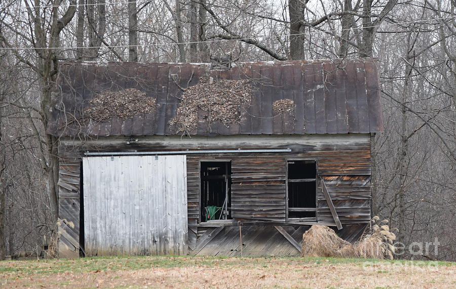 A Small Old Barn Photograph by Robert Tubesing - Fine Art America