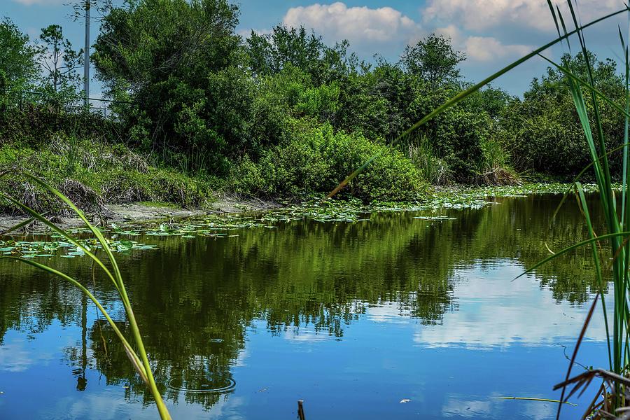Lake Photograph - A Small Pond by Ric Schafer Lake Photograph - A Small Pond by Ric Schafer
