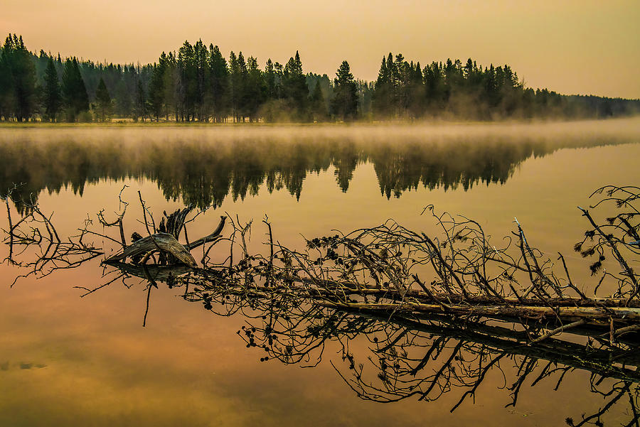 A smoky Morning on the Yellowstone Photograph by Gary Felton