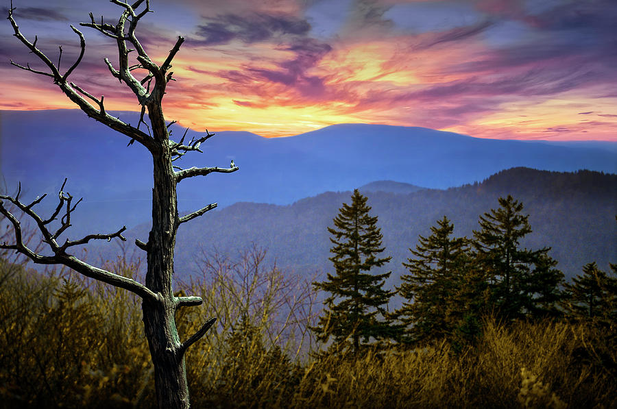 A Smoky Mountain Sunset Photograph by Randall Nyhof
