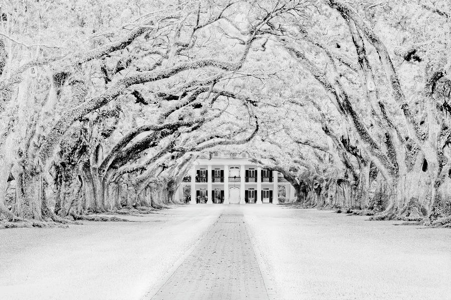 New Orleans Photograph - A Snowy Oak Alley Plantation by Kay Brewer