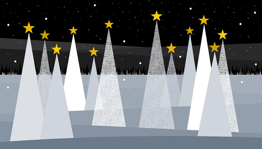 A Snowy Star Studded Winter Sky Digital Art by Val Arie