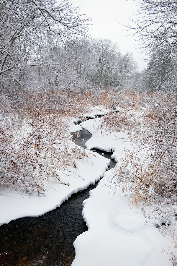 Landscape Photograph - A Snowy Winding Brook by Betty Denise