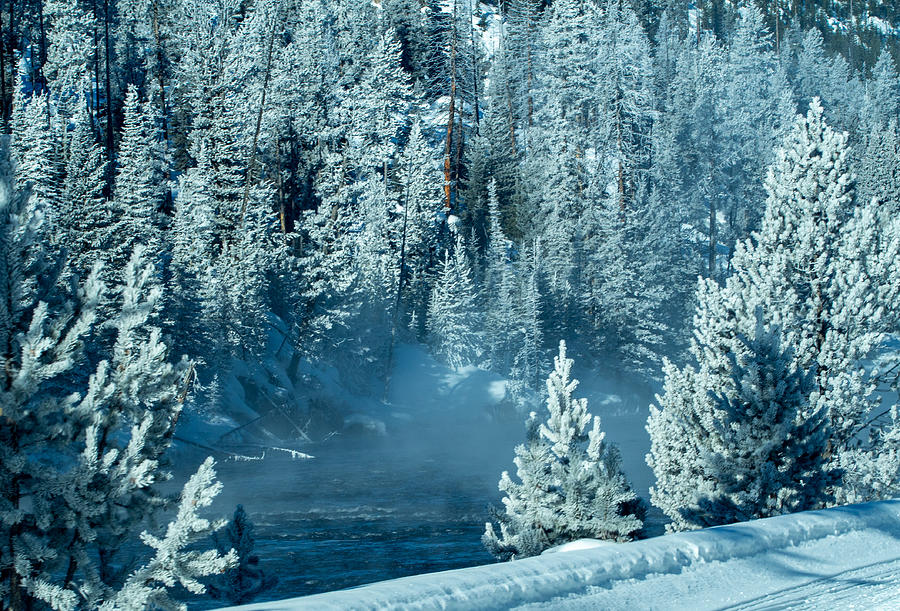 A Snowy Woods along the River in Yellowstone National Park Photograph by L Bosco