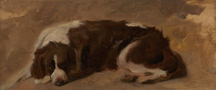 A Spaniel Lying Down - Sir Edwin Henry Landseer Digital Art by Samuel HUYNH A Spaniel Lying Down - Sir Edwin Henry Landseer Digital Art by Samuel HUYNH