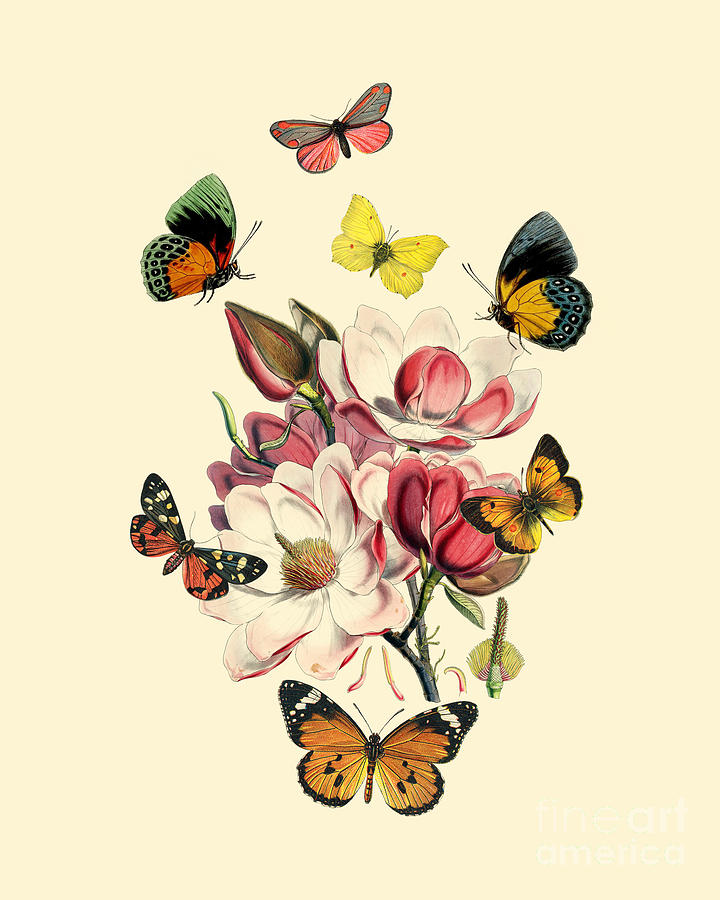 Magnolia Movie Digital Art - A Sparkle Of Spring by Madame Memento