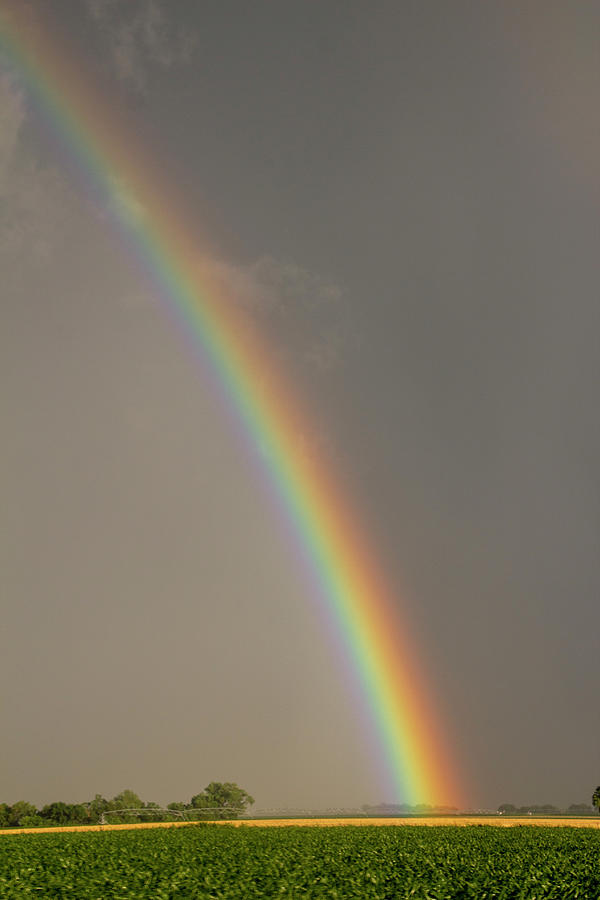 A Spectrum of Nebraska 003 Photograph by NebraskaSC