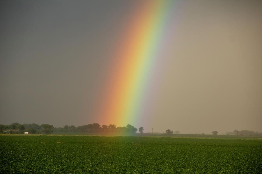 A Spectrum of Nebraska 006 Photograph by NebraskaSC