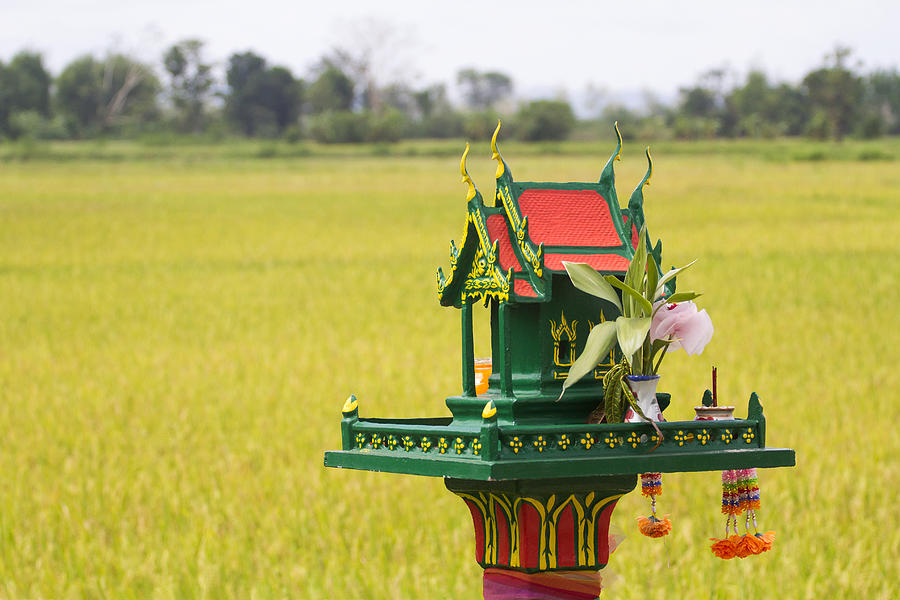A Spirit House in a rice field Photograph by Jean-claude Soboul