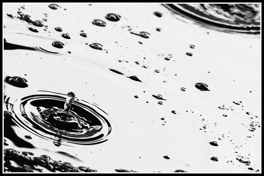 A Splash in Time Photograph by Randy J Heath