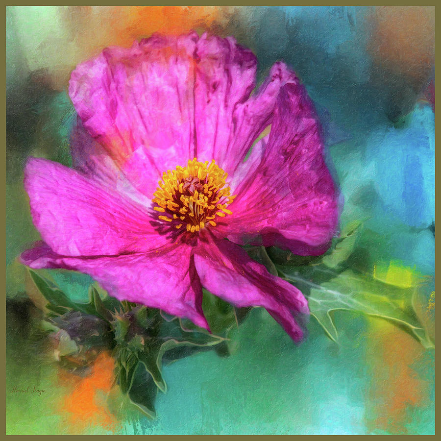 A Splash of Color - Flower Print Photograph by Harriet Feagin