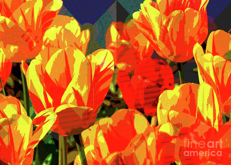 A Splash Of Tulips Digital Art