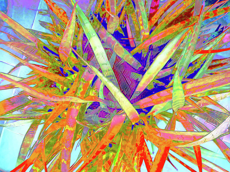 A Splice of Life Photograph by Ali Bailey A Splice of Life Photograph by Ali Bailey