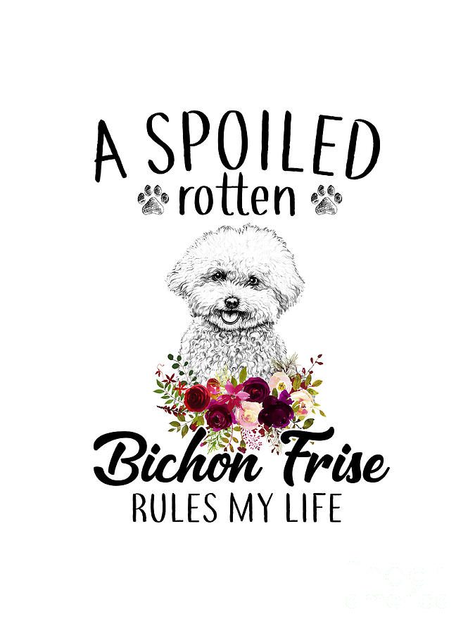 A Spoiled Rotten Bichon Frise Rules My Life Drawing by Anime Art - Fine ...