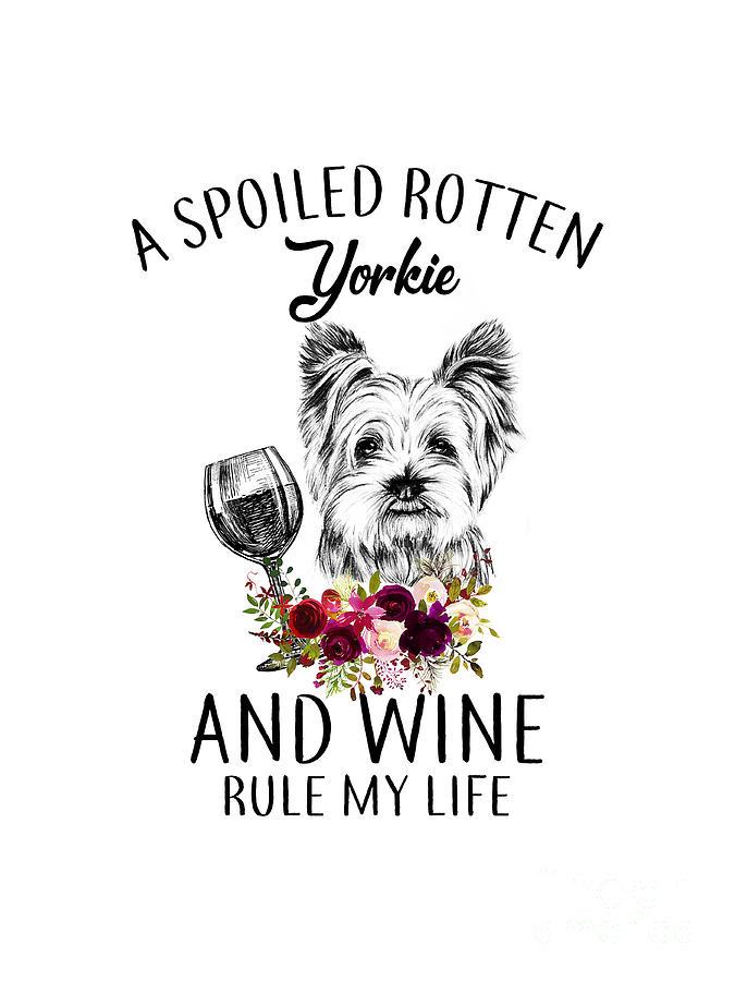 Im The Crazy Yorkie Lady Every One Warned You About Drawing by Anime Art -  Fine Art America