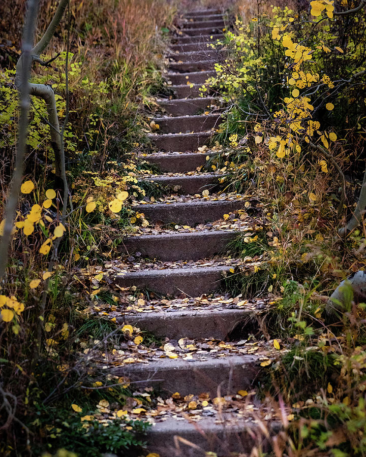 A stairway to heaven Photograph by Matt Halvorson - Fine Art America