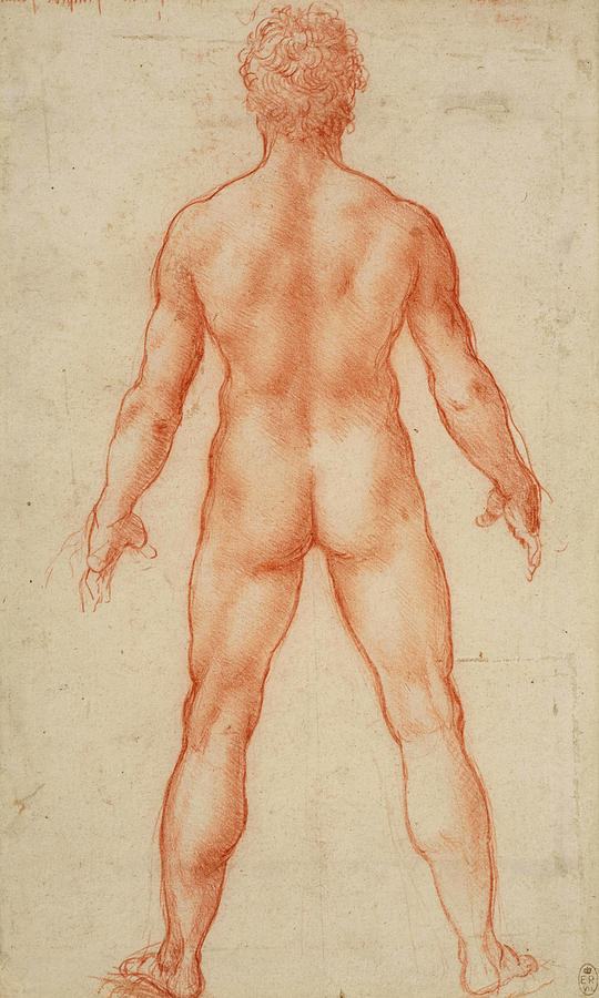 Leonardo Da Vinci Painting - A Standing Male Nude by Leonardo da Vinci