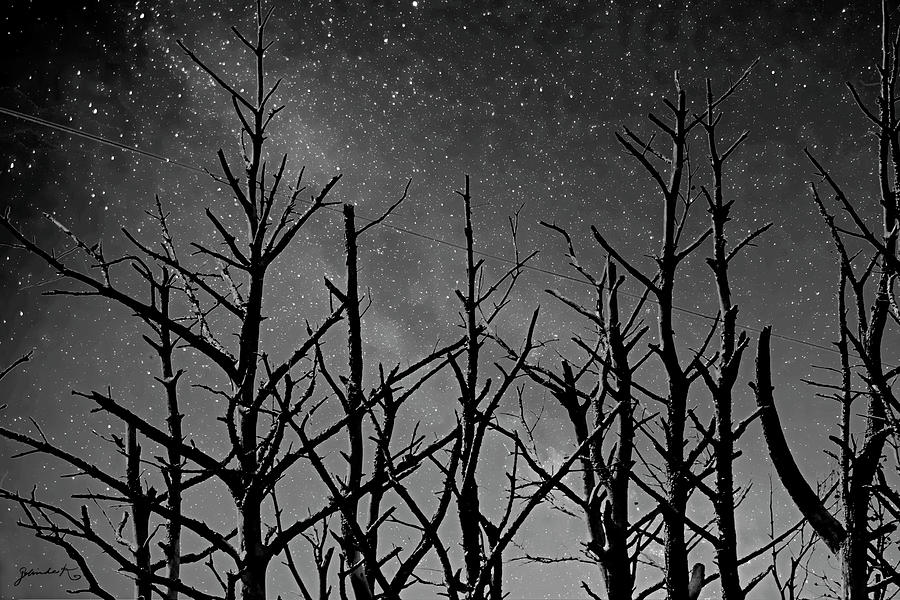 A Starry Night  Photograph by Gerlinde Keating