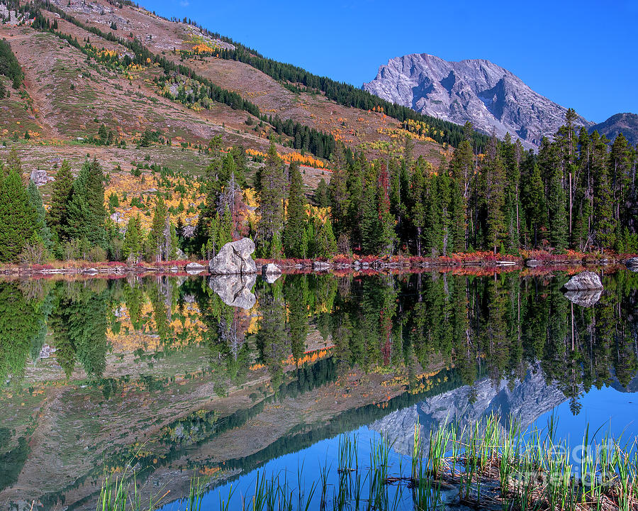 A Still Day Photograph by Dale Erickson - Fine Art America