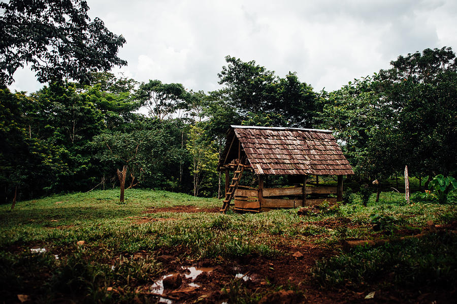 A storage shed found on a cacao farm in rural Nicaragua Photograph by Morgan Arnold